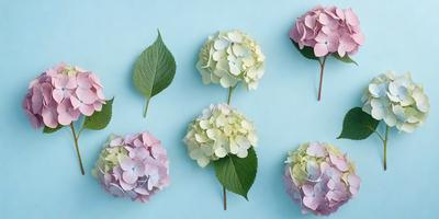 The primary subject of the image is a group of five white flowers with green leaves, arranged in a visually appealing manner. The flowers are placed on a blue surface, which serves as the setting or background. The visual style of the image is a combination of photo and digital art, creating a realistic yet artistic representation of the flowers. The colors and mood of the image are predominantly white and blue, giving it a calm and serene atmosphere.
