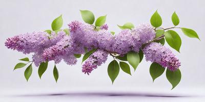 The primary subject of the image is a purple flower, which is the main focus of the scene. The flower is surrounded by green leaves, creating a visually appealing and natural setting. The visual style of the image is a digital art, as it is a close-up of the flower and leaves, with a purple background. The dominant colors in the image are purple and green, giving the scene a calm and serene atmosphere.