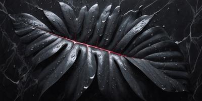 The primary subject of the image is a large, dark green leaf with a red stem. The leaf is wet, possibly from rain, and has droplets of water on it. The setting is a black background, which emphasizes the leaf's vibrant colors. The visual style is a close-up, focusing on the intricate details of the leaf. The colors and mood of the image are dark and moody, with the contrasting red stem and green leaf creating a striking visual effect.
