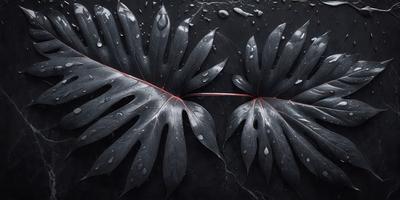 The primary subject of the image is a close-up of a large, dark green leaf with water droplets on it. The leaf is the main focus of the image, and it appears to be a real-life photograph of the leaf. The setting is a black background, which provides a contrasting and dramatic effect. The visual style is a realistic representation of the leaf, and the colors are predominantly dark green, with the water droplets adding a touch of white. The overall atmosphere of the image is moody