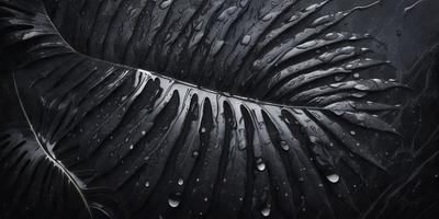 The primary subject of the image is a large, dark, and wet leaf. The leaf is the main focus of the image, and it appears to be a close-up of the leaf. The setting is a black background, which contrasts with the leaf, making it stand out. The visual style of the image is a close-up of the leaf, which gives it a detailed and intimate appearance. The colors in the image are predominantly dark, with the wet leaf appearing black and the background being black as well. The overall