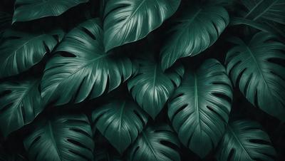 The primary subject of the image is a large group of green leaves, which are the main objects in the scene. The leaves are arranged in a dense, overlapping pattern, creating a visually striking and lush appearance. The setting is a dark background, which contrasts with the vibrant green leaves, emphasizing their color and texture. The visual style of the image is a close-up of the leaves, showcasing their intricate details and patterns. The overall atmosphere of the image is one of natural beauty and seren