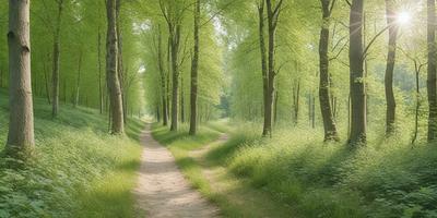 The primary subject of the image is a dirt road surrounded by lush green grass and trees. The setting is a forest, with the trees providing a natural backdrop. The visual style is a photo, capturing the beauty of the forest and the path. The colors and mood are predominantly green, with the grass and trees creating a serene and peaceful atmosphere.