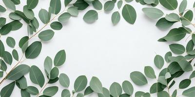 The primary subject of the image is a large green leaf, which is prominently displayed in the foreground. The leaf is positioned in the center of the frame, covering a significant portion of the image. The setting is a white background, which provides a clean and minimalistic appearance. The visual style is a close-up of the leaf, emphasizing its texture and details. The colors and mood of the image are predominantly green, creating a sense of freshness and natural beauty.