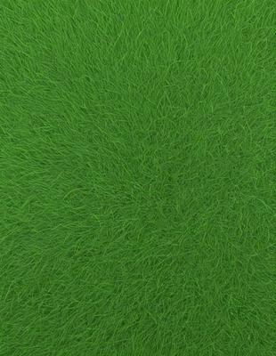 The primary subject of the image is a close-up of a green, grassy field. The setting is an outdoor environment, with the grass being the main object in the scene. The visual style is a photo, capturing the natural texture and color of the grass. The colors and mood of the image are predominantly green, creating a serene and natural atmosphere.