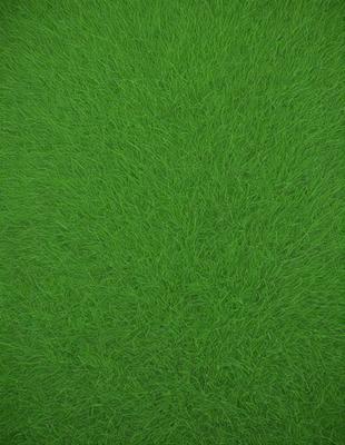 The primary subject of the image is a lush green field. The setting is an outdoor environment, with the grass being the main object of focus. The visual style is a photo, capturing the natural beauty of the grassy field. The colors and mood of the image are predominantly green, creating a serene and peaceful atmosphere.
