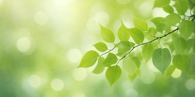 The primary subject of the image is a leafy green tree branch with green leaves. The setting is a bright, sunny day, and the visual style is a close-up of the tree branch. The colors and mood of the image are lively and vibrant, with the green leaves and sunlight creating a sense of freshness and vitality.