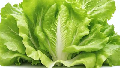 The primary subject of the image is a large green leaf, which is the main focus of the scene. The leaf is prominently displayed, covering a significant portion of the image. The setting is a table, which serves as the background for the leaf. The visual style of the image is a close-up of the leaf, showcasing its details and texture. The colors in the image are predominantly green, giving the image a fresh and natural atmosphere.