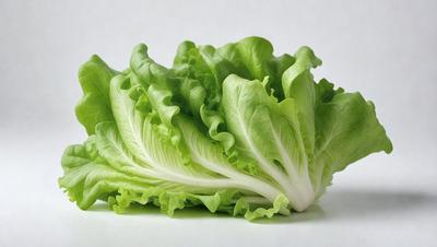 The primary subject of the image is a large head of green lettuce. The lettuce is prominently displayed, covering a significant portion of the image. The setting is a white background, which provides a clean and uncluttered look to the image. The visual style is a close-up of the lettuce, emphasizing its texture and details. The colors in the image are predominantly green, which gives the image a fresh and natural appearance.