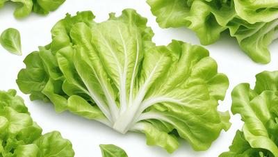The primary subject of the image is a close-up of a green leafy vegetable, possibly a lettuce or spinach leaf. The leaf is placed on a white surface, which serves as the background. The visual style of the image is a close-up, focusing on the details of the leaf. The colors in the image are predominantly green, which gives the image a fresh and natural appearance.