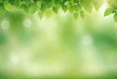 The primary subject of the image is a leafy green tree. The setting is a bright, sunny day with a clear blue sky. The visual style is a photo of a leafy green tree. The colors and mood are bright, lively, and serene, with the green tree being the main focus of the image.