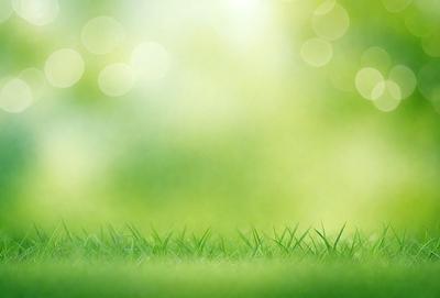 The image features a lush green field with a bright, sunny atmosphere. The primary subject is the grass, which is the main focus of the image. The setting is an outdoor environment, with the grassy field being the background. The visual style is a photo, capturing the natural beauty of the grassy field. The colors and mood are predominantly green, with a warm and inviting ambiance.