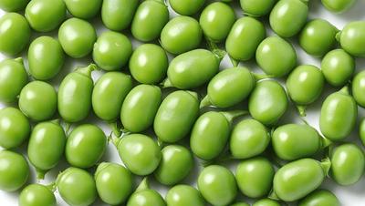 The primary subject of the image is a large group of green beans, which are the main objects in the scene. The beans are arranged in a pattern, covering the entire image. The setting is a white background, which provides a clean and uncluttered look to the image. The visual style is a close-up of the green beans, showcasing their texture and details. The colors and mood of the image are predominantly green, giving it a fresh and vibrant appearance.