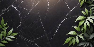 The primary subject of the image is a green plant, which is placed in front of a black wall. The setting appears to be a room with a black background, which creates a striking contrast with the green plant. The visual style of the image is a photo, capturing the plant's vibrant color and the black wall's boldness. The colors and mood of the image are predominantly black and green, giving it a moody and dramatic atmosphere.