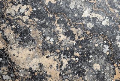 The primary subject of the image is a close-up of a marble surface with a pattern of black and yellow spots. The setting is a stone wall, and the visual style appears to be a photo of the marble surface. The colors and mood of the image are predominantly black and yellow, with a slightly textured appearance.