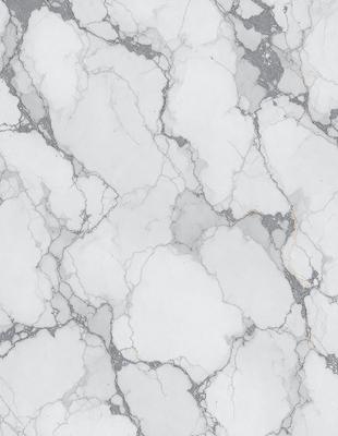 The image features a white marble wall with a pattern of white and grey marble. The wall appears to be textured and has a slightly rough surface. The overall atmosphere of the image is clean and elegant, with the marble wall serving as a striking backdrop.