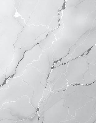 The image features a white marble wall with a pattern of light and dark streaks. The wall appears to be textured and has a slightly rough surface. The overall atmosphere of the image is clean and elegant, with the marble wall serving as a striking backdrop.
