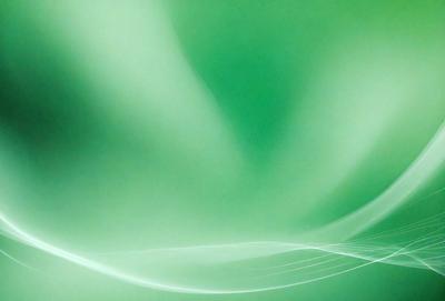 The primary subject of the image is a green leaf, which is the main object in the scene. The leaf is set against a green background, which creates a natural and vibrant atmosphere. The visual style of the image is a close-up of the leaf, showcasing its intricate details. The colors and mood of the image are predominantly green, giving it a fresh and lively appearance.
