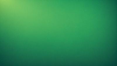 The primary subject of the image is a large, bright green wall. The setting is a dark room, and the visual style is a photo. The dominant colors are green, and the overall atmosphere is calm and serene.
