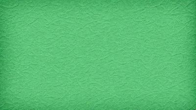 The primary subject of the image is a green background with a patterned texture. The setting is a green wall, and the visual style is a patterned texture. The colors and mood of the image are predominantly green, creating a calm and soothing atmosphere.