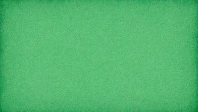 The primary subject of the image is a green carpet. The setting is a green background, which creates a vibrant and lively atmosphere. The visual style is a close-up of the green carpet, showcasing its texture and color. The colors and mood of the image are predominantly green, giving it a fresh and natural feel.