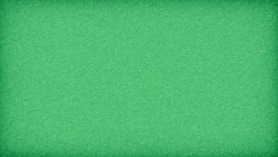 The primary subject of the image is a green surface, which appears to be a green cloth or a green background. The setting is a plain, empty space with no other objects or elements visible. The visual style of the image is a close-up of the green surface, showcasing its texture and color. The colors and mood of the image are predominantly green, creating a calm and serene atmosphere.