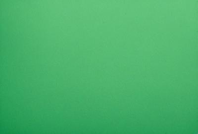 The primary subject of the image is a large, bright green background. The setting is a plain, empty space with no visible objects or people. The visual style is a close-up of the green background, which creates a sense of depth and focus. The colors and mood of the image are predominantly green, giving it a calm and serene atmosphere.