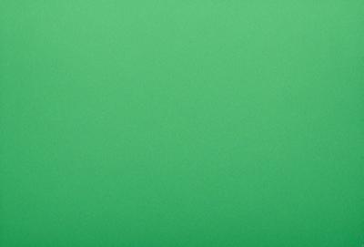 The primary subject of the image is a large, bright green background. The setting is a plain, empty space with no visible objects or people. The visual style is a close-up of the green background, which creates a sense of depth and focus. The colors and mood of the image are predominantly green, giving it a calm and serene atmosphere.