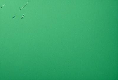 The primary subject of the image is a green background. The setting is a plain, empty space with no visible objects or people. The visual style is a close-up of the green background, which appears to be a solid color with no patterns or textures. The colors and mood of the image are predominantly green, creating a calm and serene atmosphere.
