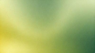 The primary subject of the image is a green background, which appears to be a wall or a piece of artwork. The setting is indoors, and the visual style is a close-up of the green background. The colors and mood of the image are predominantly green, creating a calm and serene atmosphere.