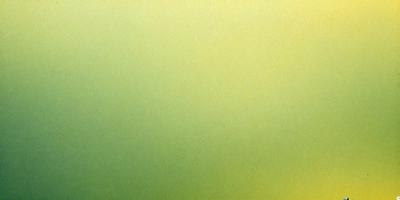 The primary subject of the image is a large, bright green wall. The setting is a room with a green background, and the visual style is a photo. The dominant colors are green, and the overall atmosphere is vibrant and lively.