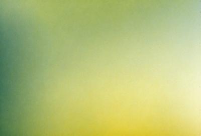 The primary subject of the image is a yellow background. The setting is a green and yellow wall, which creates a vibrant and lively atmosphere. The visual style is a combination of a photo and digital art, giving the image a unique and artistic appearance. The dominant colors are yellow and green, which contribute to the overall mood of the image.