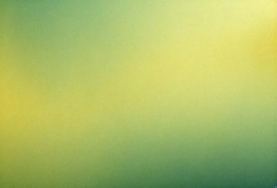 The primary subject of the image is a green background with a yellowish tint. The setting appears to be a wall or a surface with a patterned texture. The visual style of the image is a combination of photo and digital art, creating a unique and interesting appearance. The dominant colors in the image are green and yellow, giving it a lively and vibrant atmosphere.