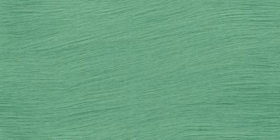 The primary subject of the image is a green background, which appears to be a piece of fabric or a wall painted with a green color. The setting is a close-up of the green background, showcasing its texture and color. The visual style is a close-up of the green fabric, giving a detailed view of the material. The colors and mood of the image are predominantly green, creating a calm and soothing atmosphere.