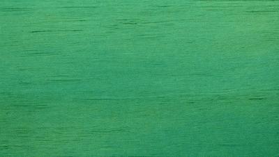 The primary subject of the image is a green wooden surface, which appears to be a wooden wall or a piece of wood. The setting is a room with a green background, which adds to the overall atmosphere. The visual style of the image is a close-up of the wooden surface, showcasing its texture and details. The colors and mood of the image are predominantly green, creating a calm and natural ambiance.