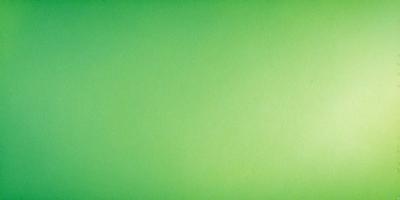 The primary subject of the image is a large, bright green wall. The setting is a plain, empty room with no other objects or people visible. The visual style is a close-up of the green wall, which gives a sense of depth and texture to the image. The colors and mood of the image are predominantly green, creating a calm and serene atmosphere.