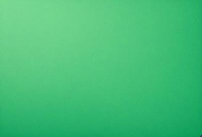The primary subject of the image is a large, bright green wall. The setting is a plain, empty room with no other objects or people visible. The visual style is a close-up of the green wall, which gives a sense of depth and texture to the image. The colors and mood are predominantly green, creating a calm and serene atmosphere.