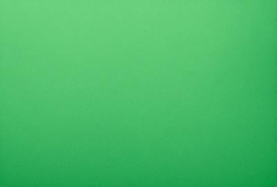 The primary subject of the image is a large, bright green background. The setting is a plain, empty space with no visible objects or people. The visual style is a close-up of the green background, which creates a sense of depth and focus. The colors and mood of the image are predominantly green, giving it a calm and serene atmosphere.