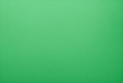 The primary subject of the image is a large, bright green background. The setting is a plain, empty space with no visible objects or people. The visual style is a close-up of the green background, which creates a sense of depth and focus. The colors and mood of the image are predominantly green, giving it a calm and serene atmosphere.