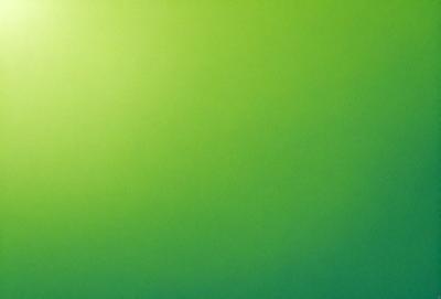 The primary subject of the image is a large, bright green wall. The setting is a room with a green background, and the visual style is a photo. The dominant colors are green, and the overall atmosphere is vibrant and lively.