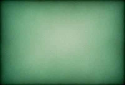 The primary subject of the image is a large, empty, and green space. The setting is a plain, with no visible background or objects. The visual style is a close-up of the green background, which gives the image a clean and minimalist appearance. The colors and mood are predominantly green, creating a calm and serene atmosphere.