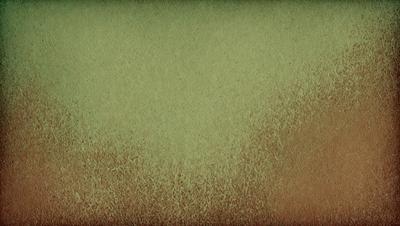 The primary subject of the image is a green wall with a brown texture. The setting is a room with a green wall, and the visual style is a close-up of the wall. The colors and mood of the image are predominantly green and brown, creating a warm and earthy atmosphere.