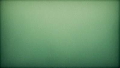 The image is a close-up of a green wall, possibly a wallpaper or a painted surface. The green color dominates the scene, creating a calm and soothing atmosphere. The wall appears to be a solid, unbroken surface, with no visible textures or patterns. The focus of the image is the green wall, with no other objects or elements visible in the frame.
