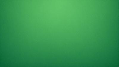 Primary subject: Green background
Setting/background: A green background with no objects or people visible
Visual style: Digital art
Colors and mood: The green background creates a calm and serene atmosphere.