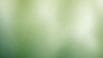 The primary subject of the image is a green wall. The setting is a room with a green wall, and the visual style is a photo. The dominant colors are green, and the overall atmosphere is calm and serene.
