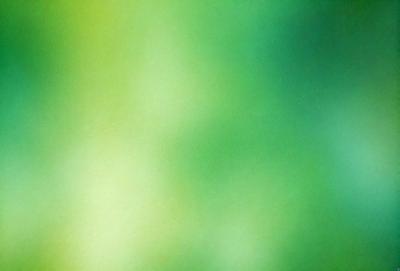 The primary subject of the image is a close-up of a green leaf. The setting is a green background, which creates a natural and vibrant atmosphere. The visual style is a photo, capturing the intricate details of the leaf. The colors and mood are predominantly green, with a sense of freshness and vitality.