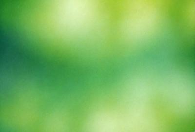 The primary subject of the image is a close-up of a green leaf. The setting is a bright, sunny day, and the visual style is a photo. The dominant colors are green and yellow, creating a lively and vibrant atmosphere.