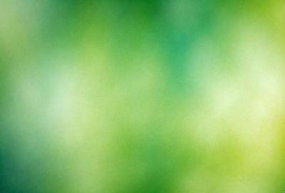 The primary subject of the image is a close-up of a green leaf. The setting is a green background, which creates a natural and vibrant atmosphere. The visual style is a photo, capturing the intricate details of the leaf. The colors and mood are predominantly green, with a sense of freshness and vitality.