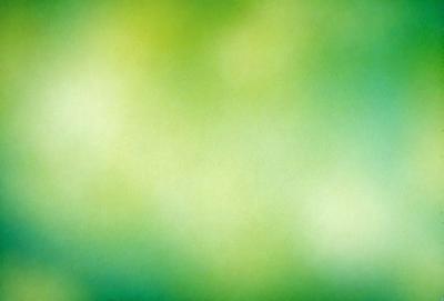 The primary subject of the image is a close-up of a green leaf. The setting is a green background, which creates a natural and vibrant atmosphere. The visual style is a photo, capturing the intricate details of the leaf. The dominant colors are green, which gives the image a fresh and lively feel.