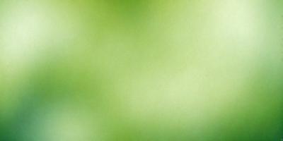 The primary subject of the image is a close-up of a green leaf. The setting is a green background, which creates a natural and serene atmosphere. The visual style is a photo, capturing the intricate details of the leaf. The colors and mood are predominantly green, reflecting the natural environment and the leaf's vibrant hue.